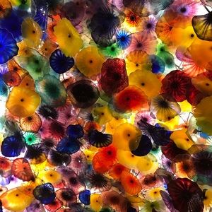 Meet your Posher, Maimuna